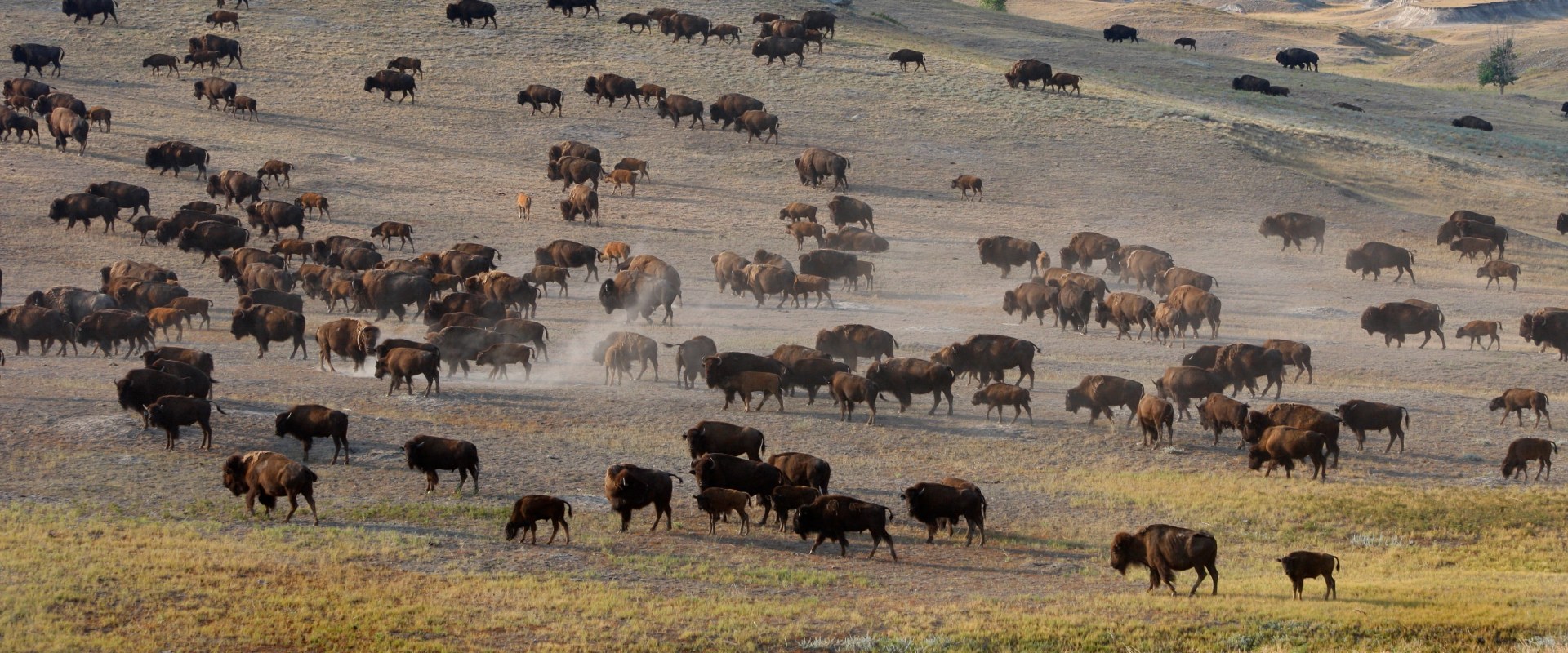 The Truth About Texas Climate: Humid or Dry?