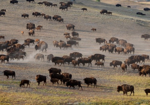 The Truth About Texas Climate: Humid or Dry?